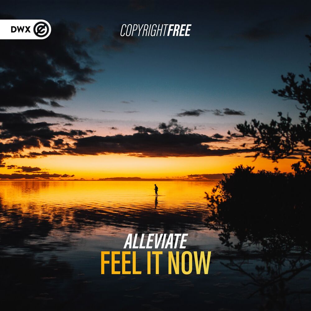 Picture of Feel It Now