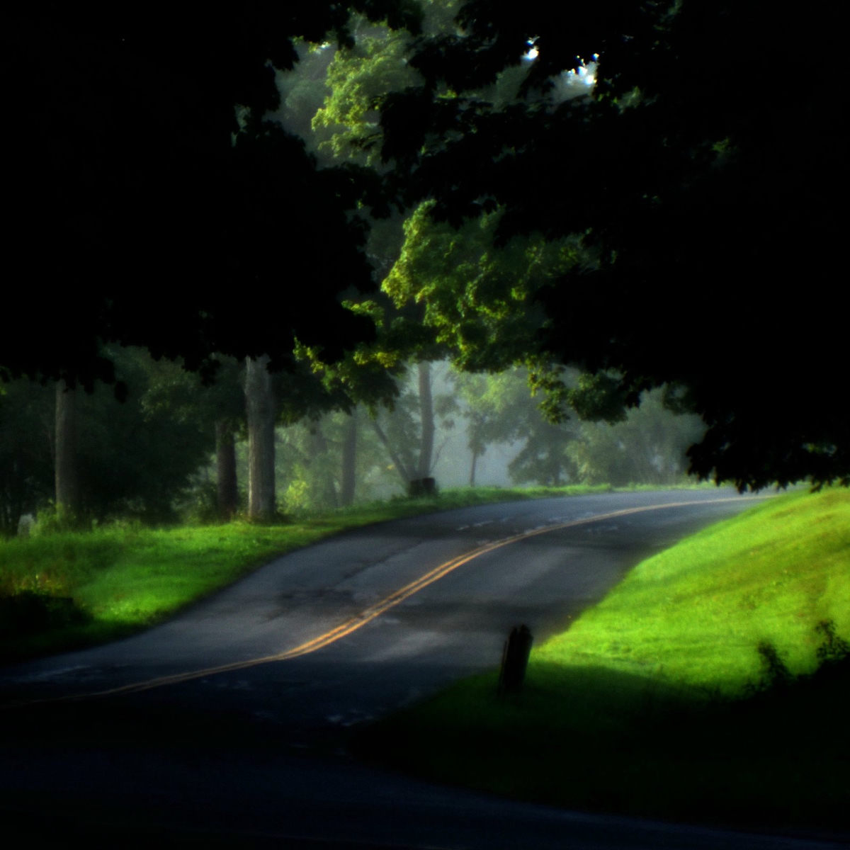 Album picture of Treehouse