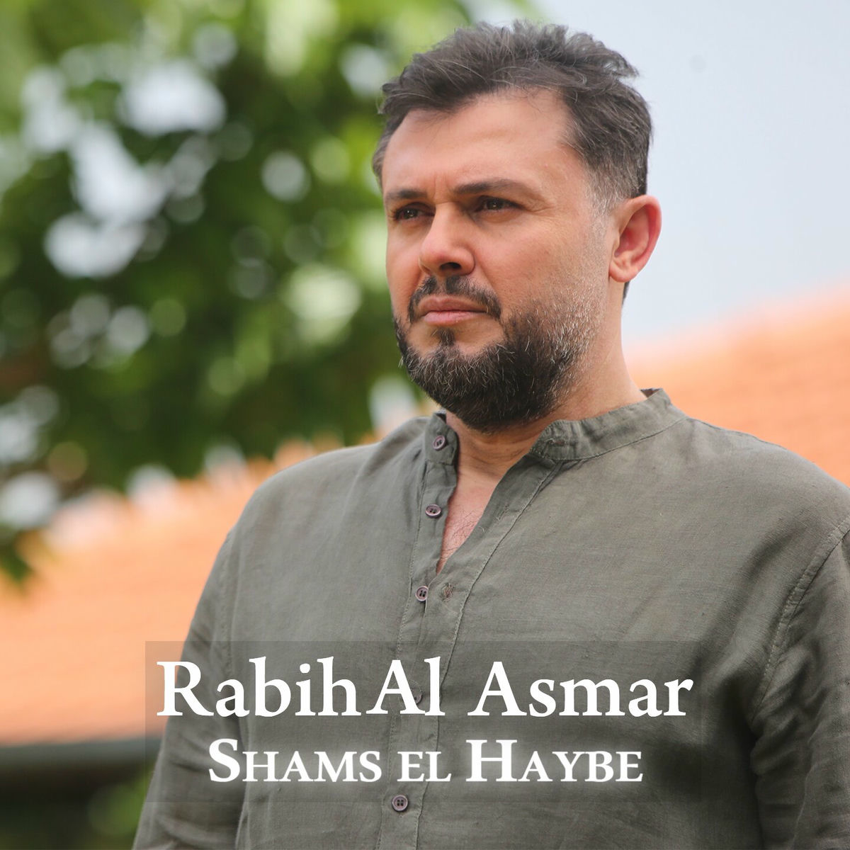 Album cover of Shams El Haybeh