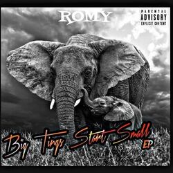 Cover of BigTingsStartSmall EP