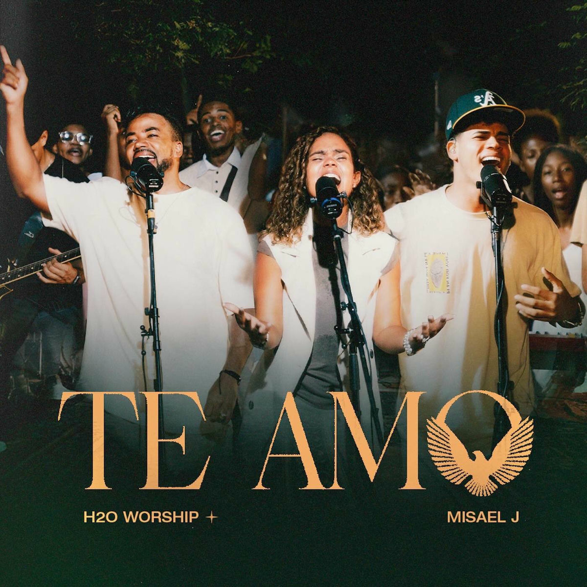 Album cover of Te amo