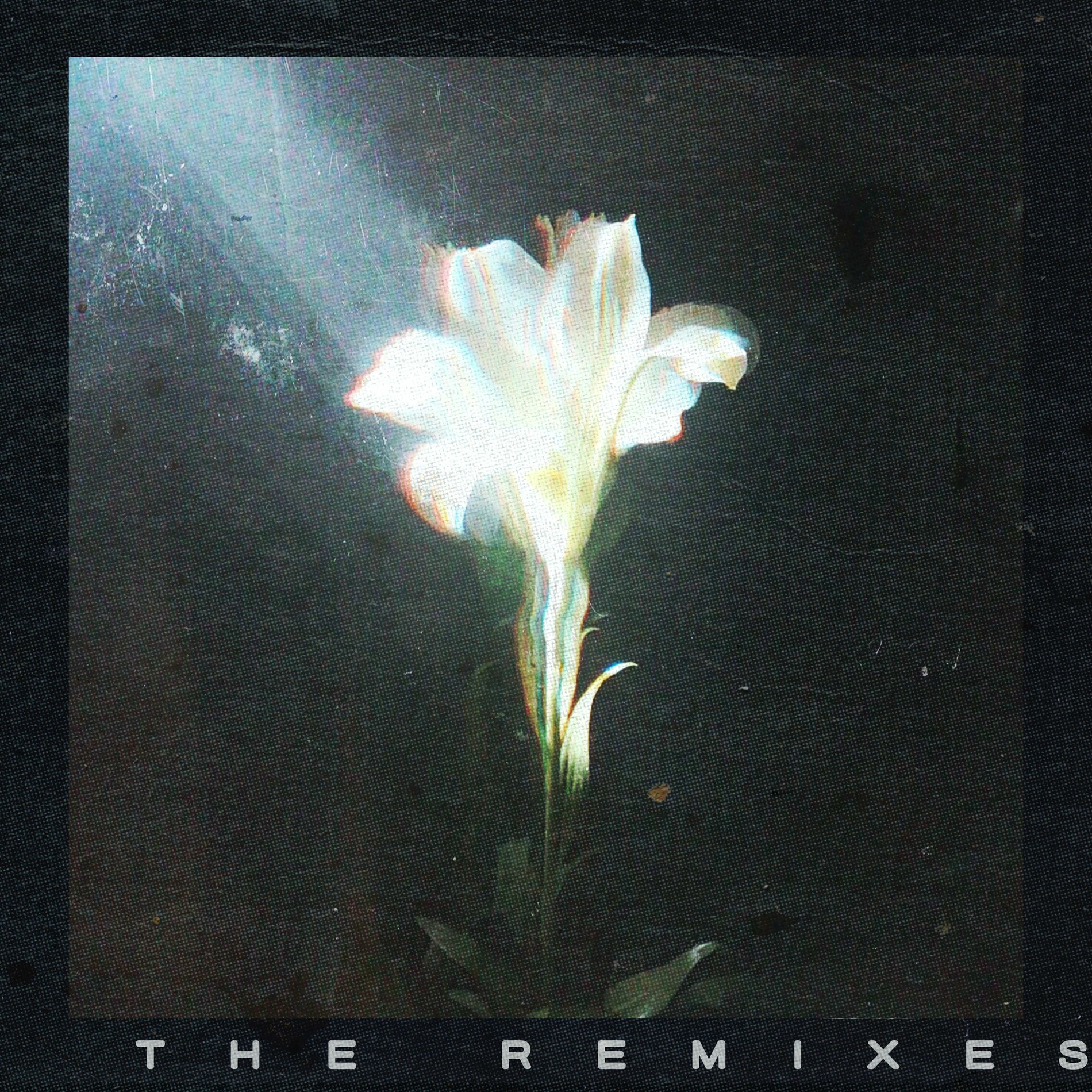 Album cover of Light That Leads Me (The Remixes)