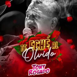 Cover of Te Eché al Olvido