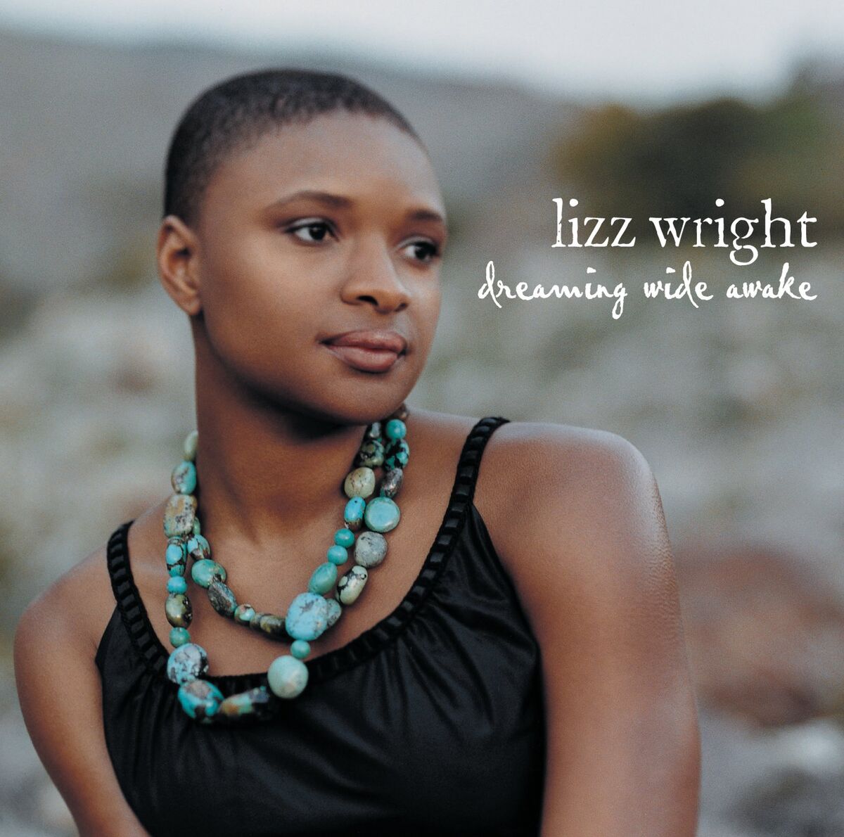 Album cover of Without You