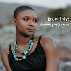 Cover of Dreaming Wide Awake