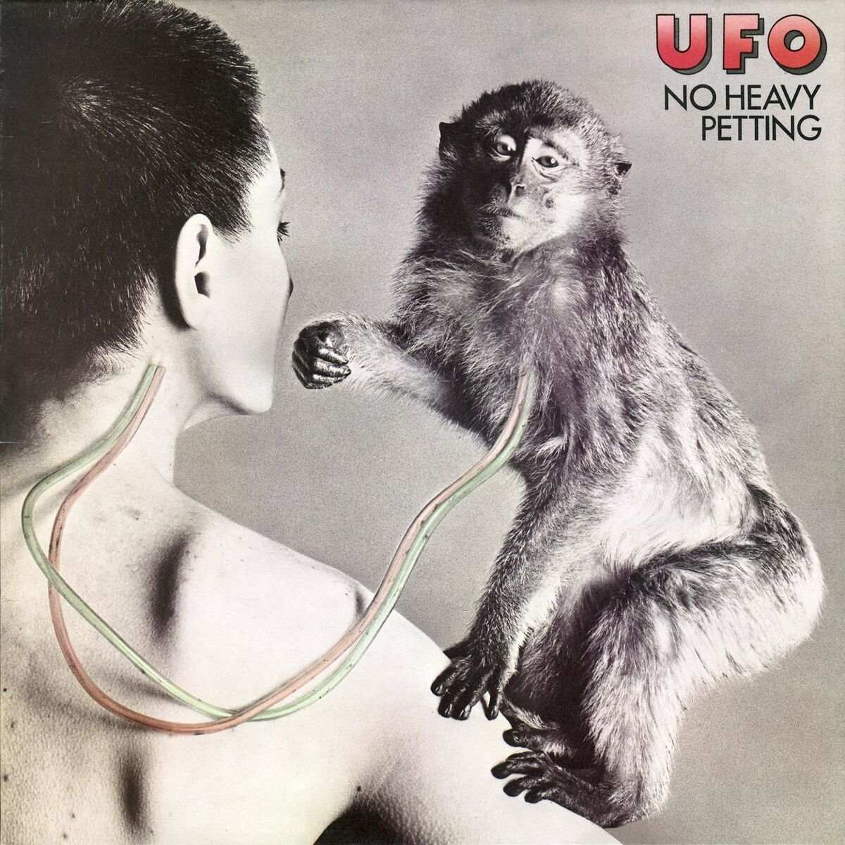 Album cover of Belladonna
