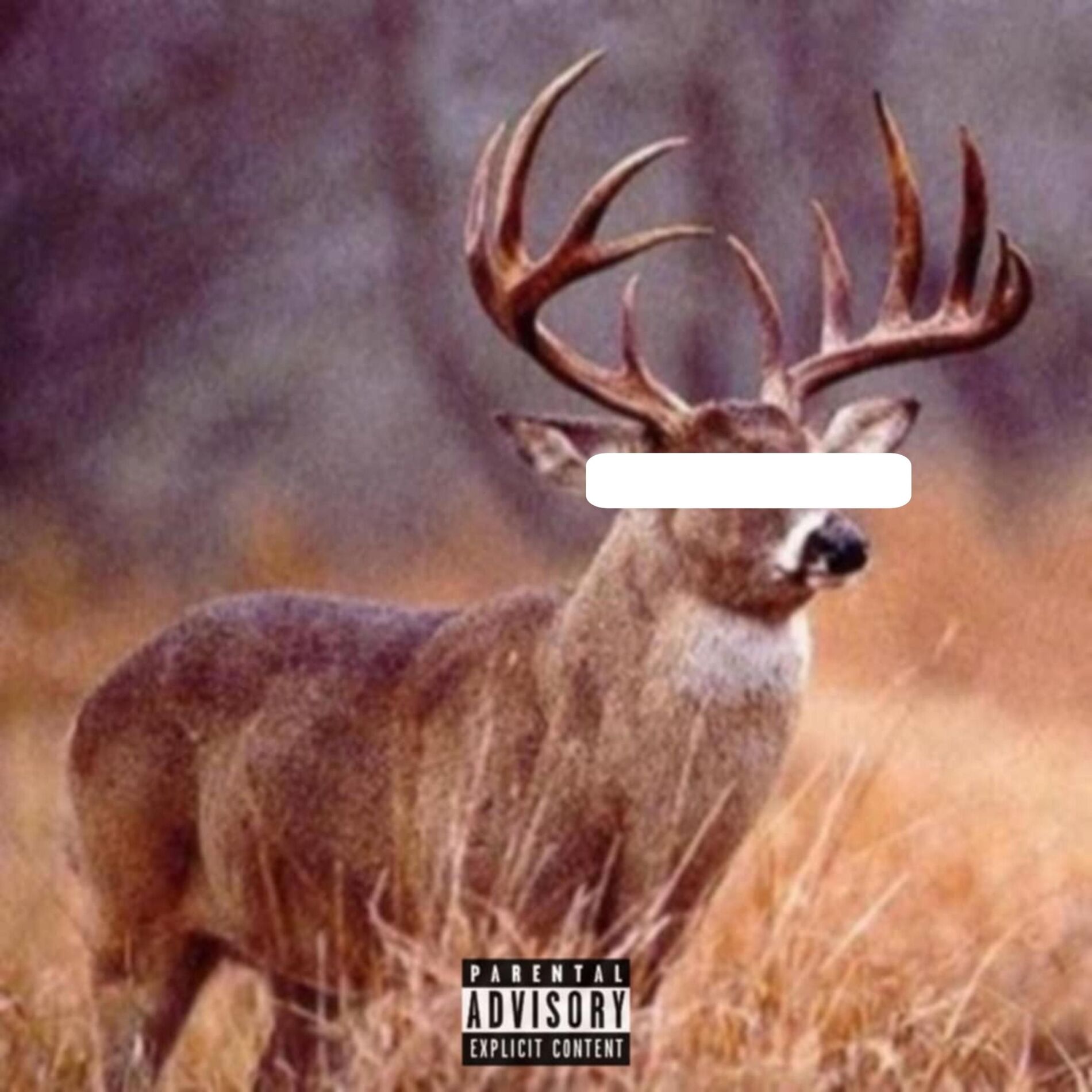 Album cover of Kno Idea