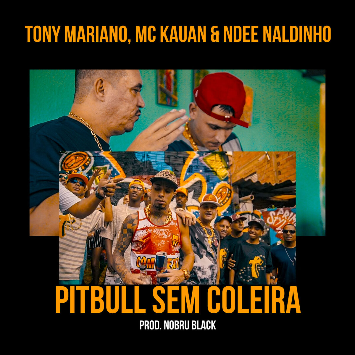 Album cover of Pitbull Sem Coleira