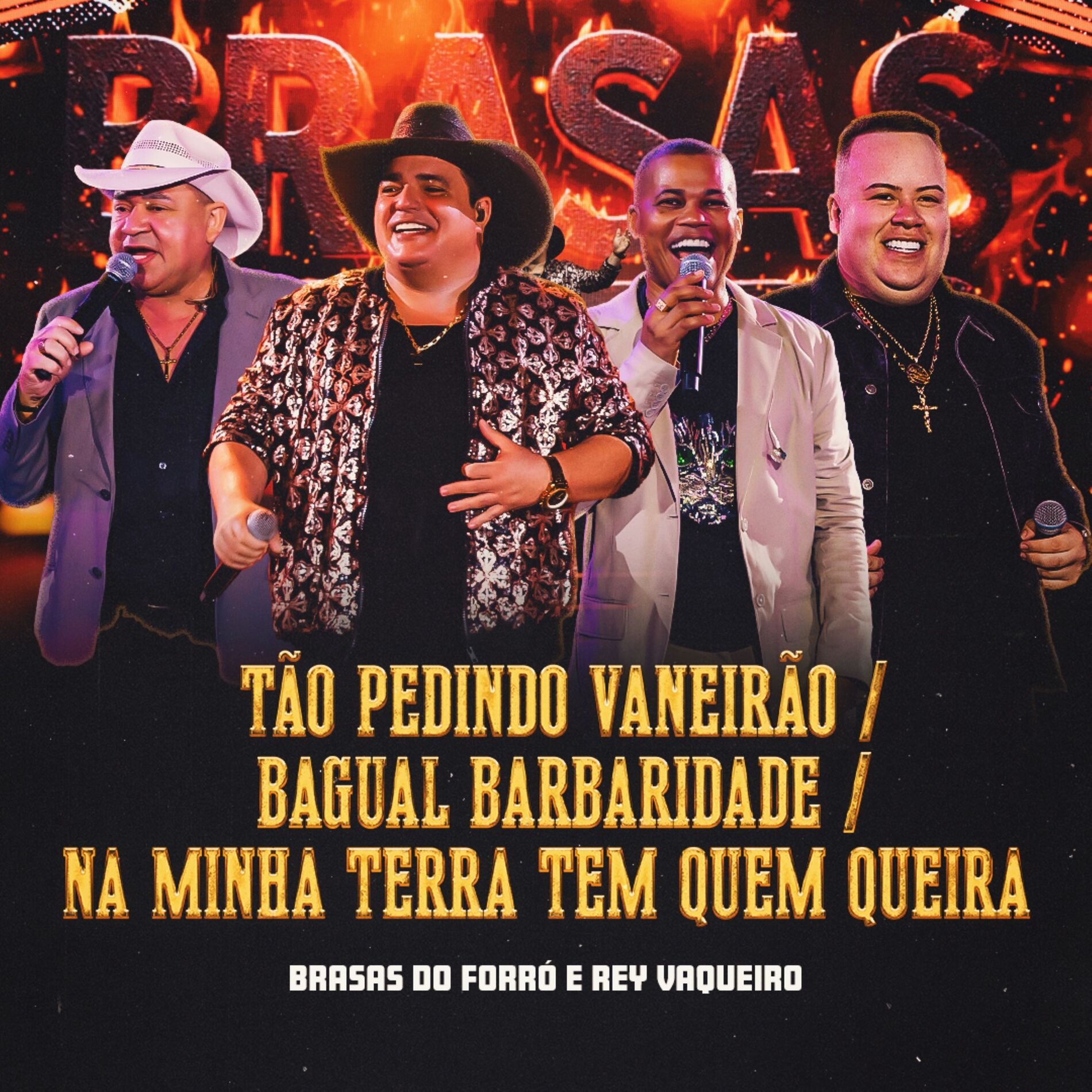 Album cover of Tão Pedindo Vaneirão / Bagual Barbaridade / Na Minha Terra tem Quem Queira