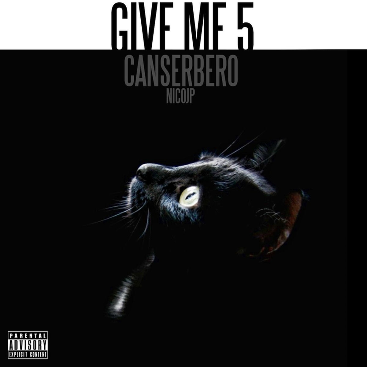 Album cover of Intro