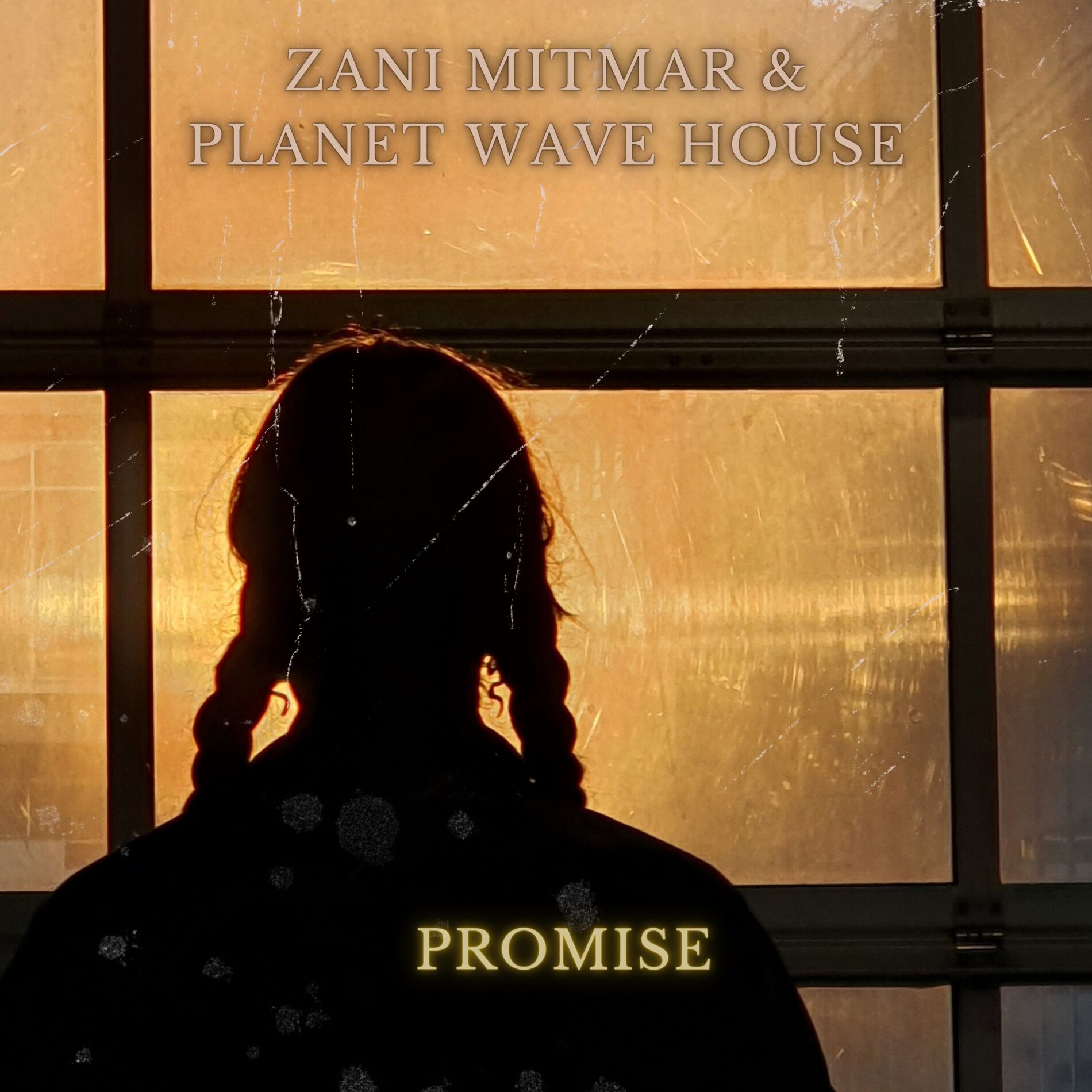Album cover of Promise