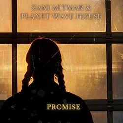 Cover of Promise