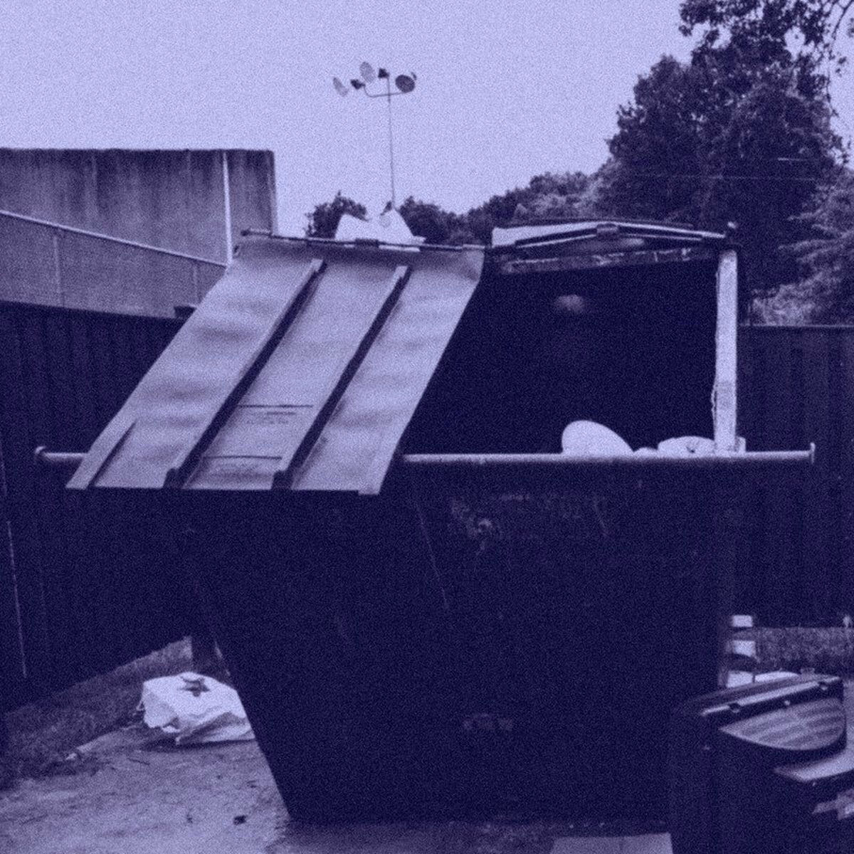 Album cover of Dumpster Dive (Instrumentals)