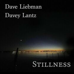 Cover of Stillness