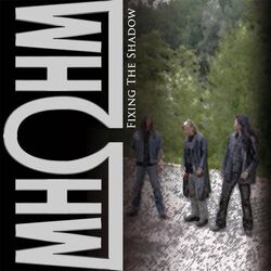 Cover of Fixing the Shadow