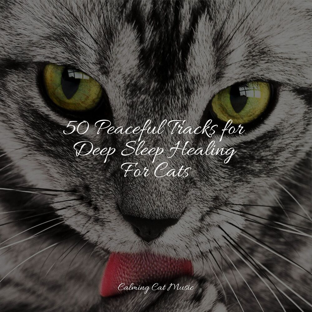 Picture of 50 Peaceful Tracks for Deep Sleep Healing For Cats