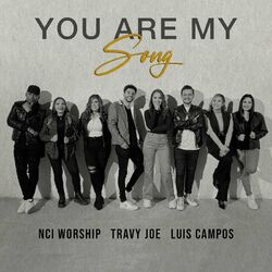 Cover of You Are My Song