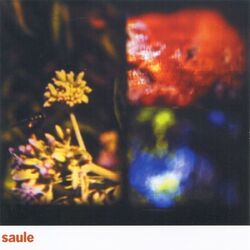 Cover of Saule