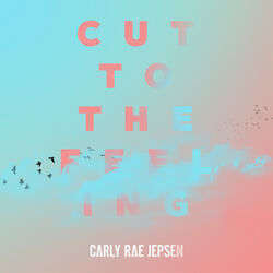 Cover of Cut To The Feeling