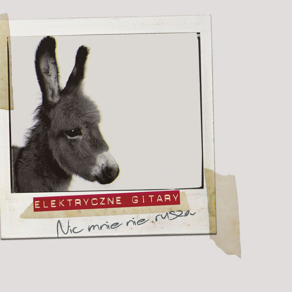 Picture of Nic Mnie Nie Rusza
