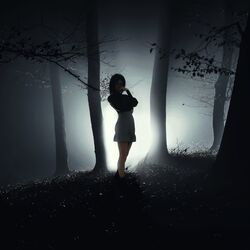 Cover of Туман