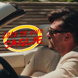 Cover of Saglie