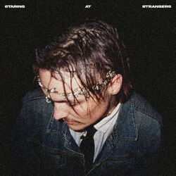 Cover of STARING AT STRANGERS