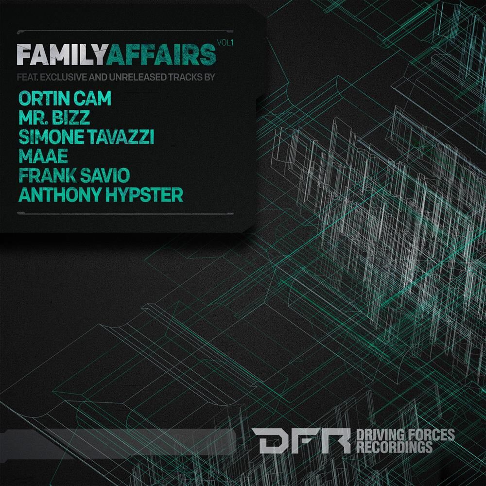 Picture of Family Affairs, Vol. 1
