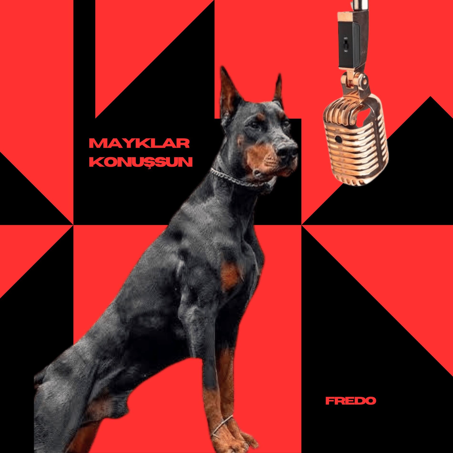 Album cover of Mayklar Konuşsun