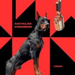 Cover of Mayklar Konuşsun