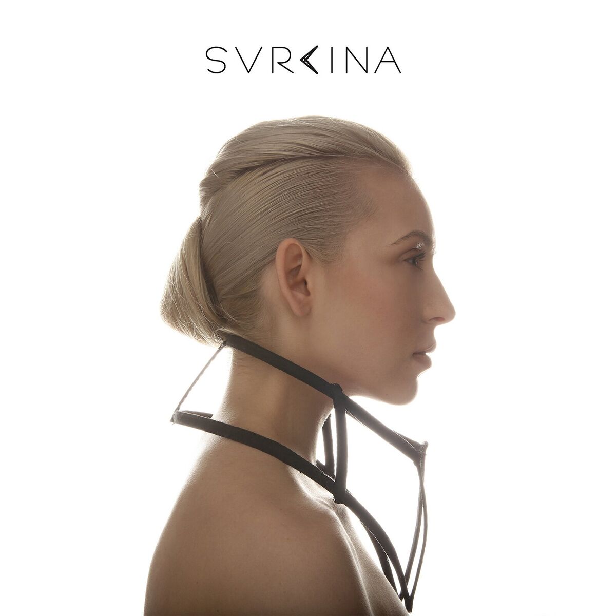 Album cover of Svrcina