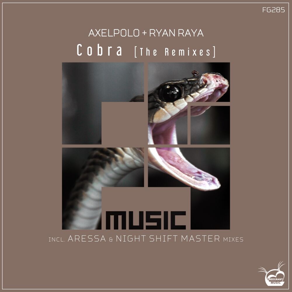 Picture of Cobra (The Remixes)