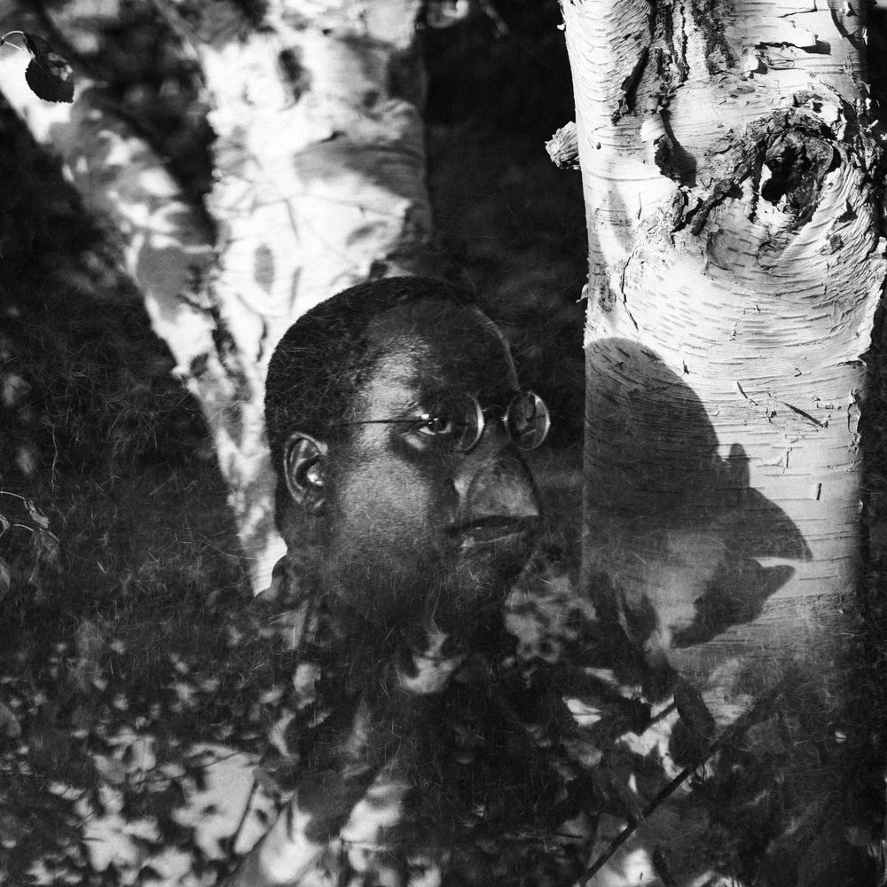 Cover du titre Tiger's Dream