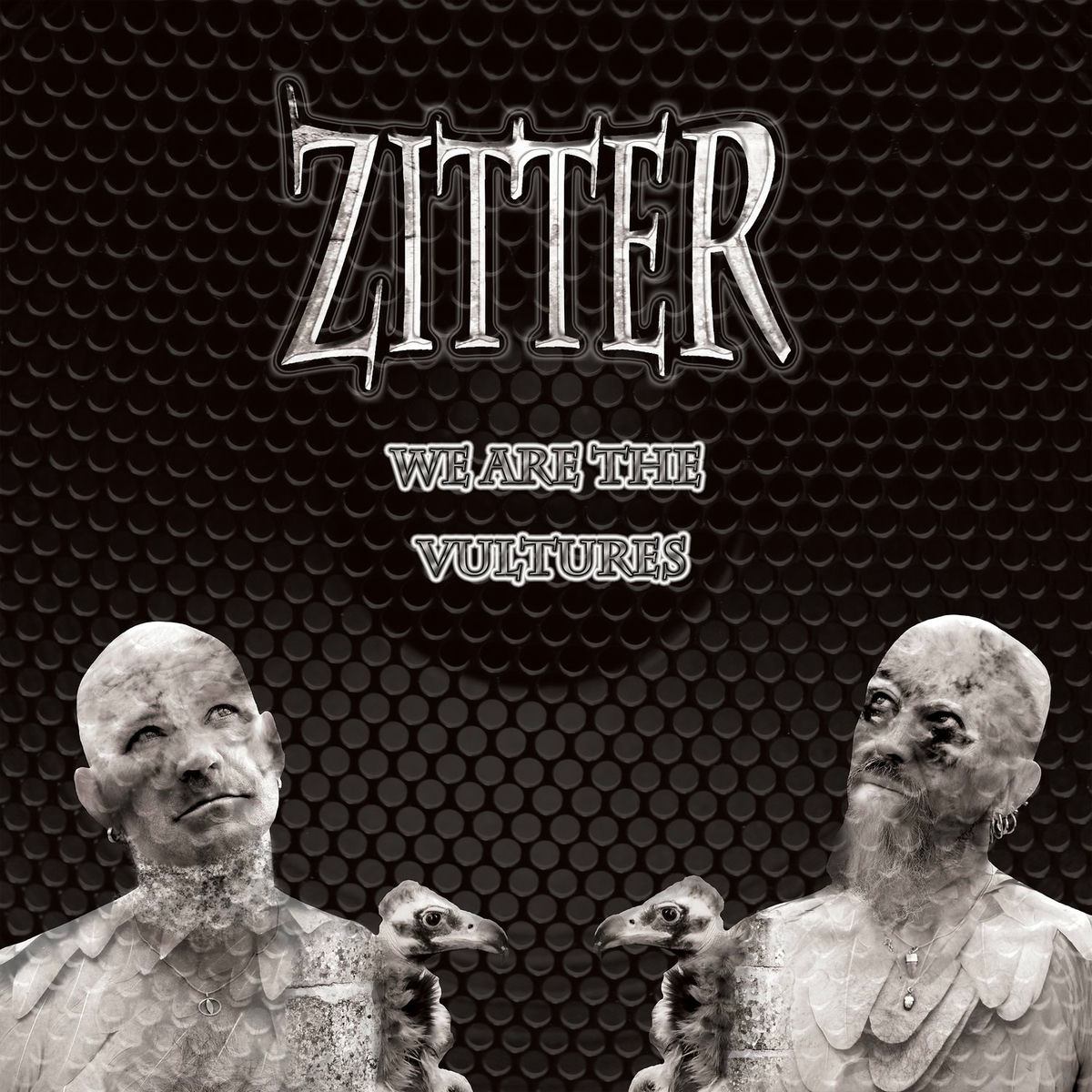 Album cover of We Are the Vultures