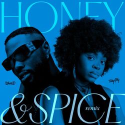 Cover of Honey & Spice (Remix)