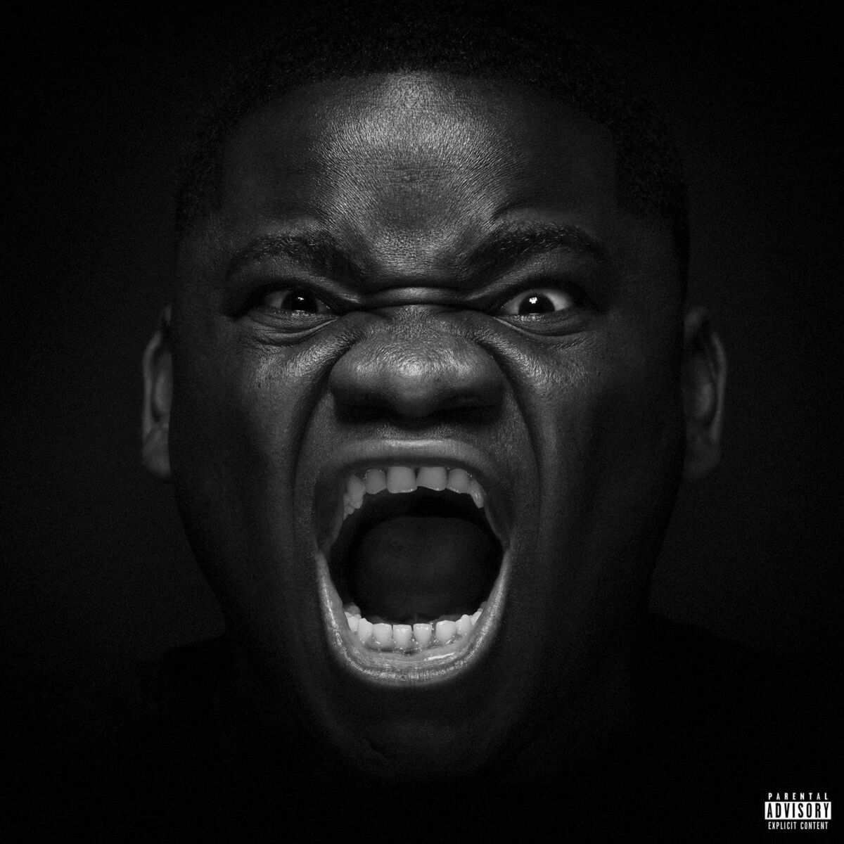 Album cover of DANS LE WAY