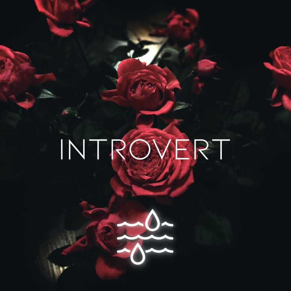 Picture of Introvert EP