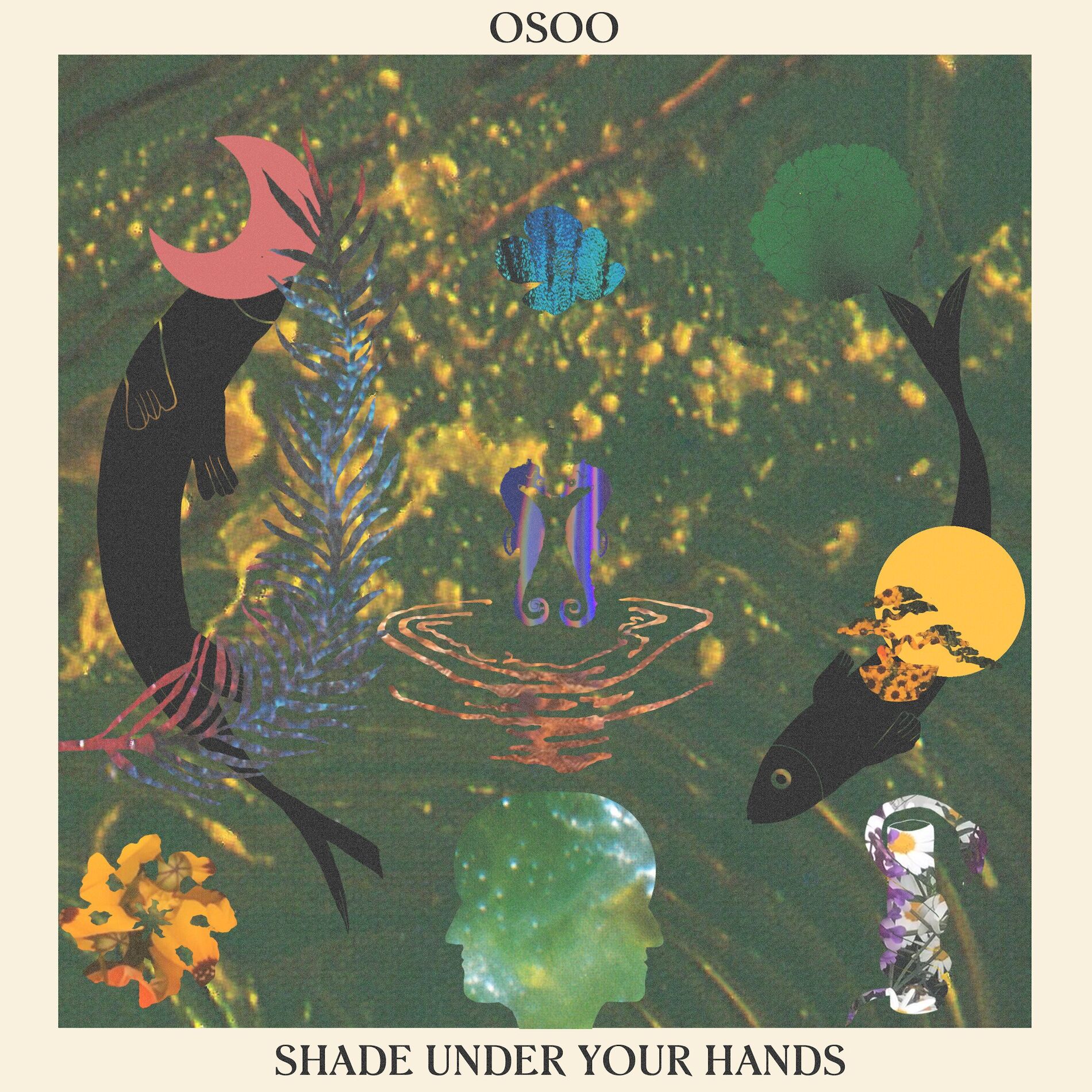 Album cover of Shade Under Your Hands