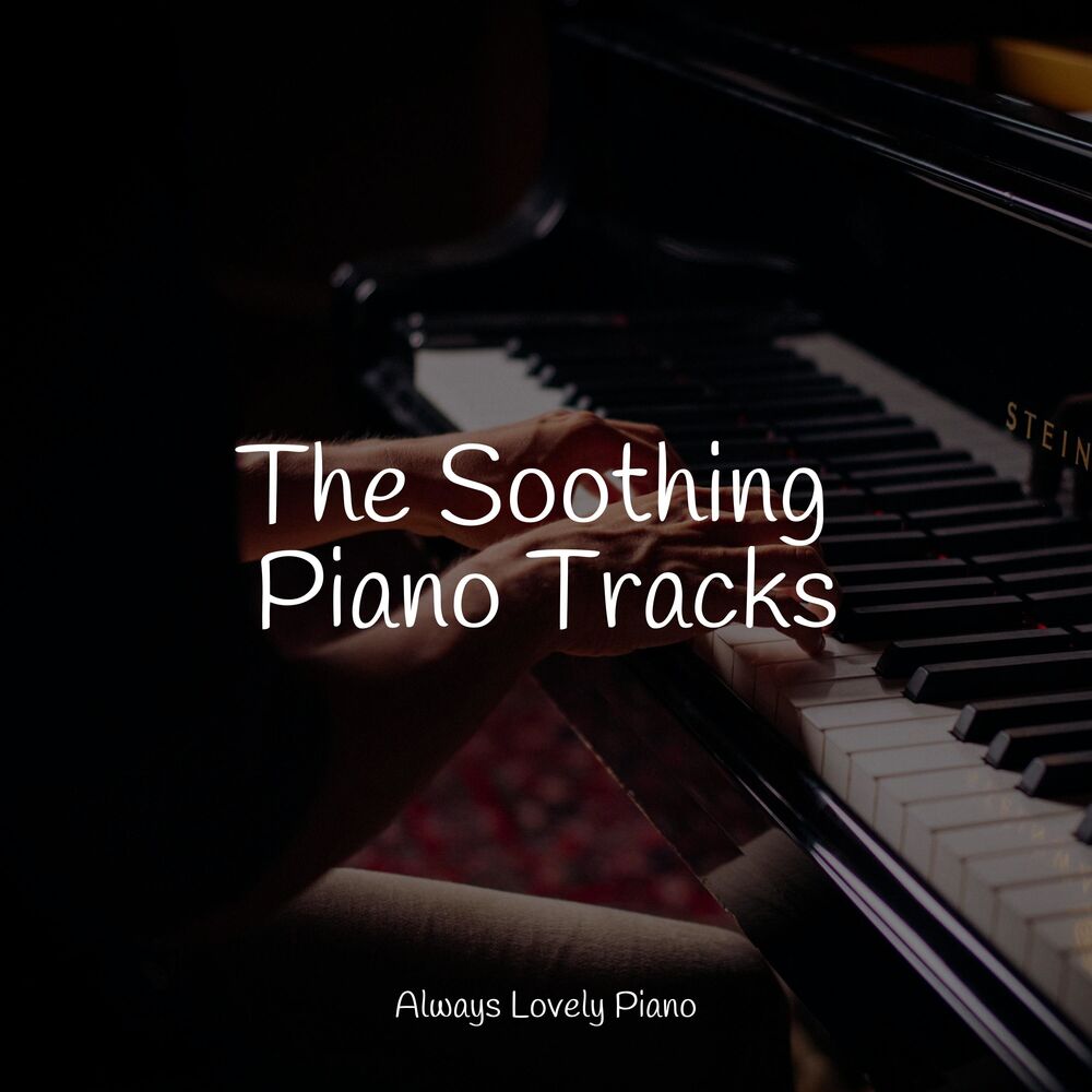Picture of 50 Comforting Sounds for Work and Focused Study Sessions