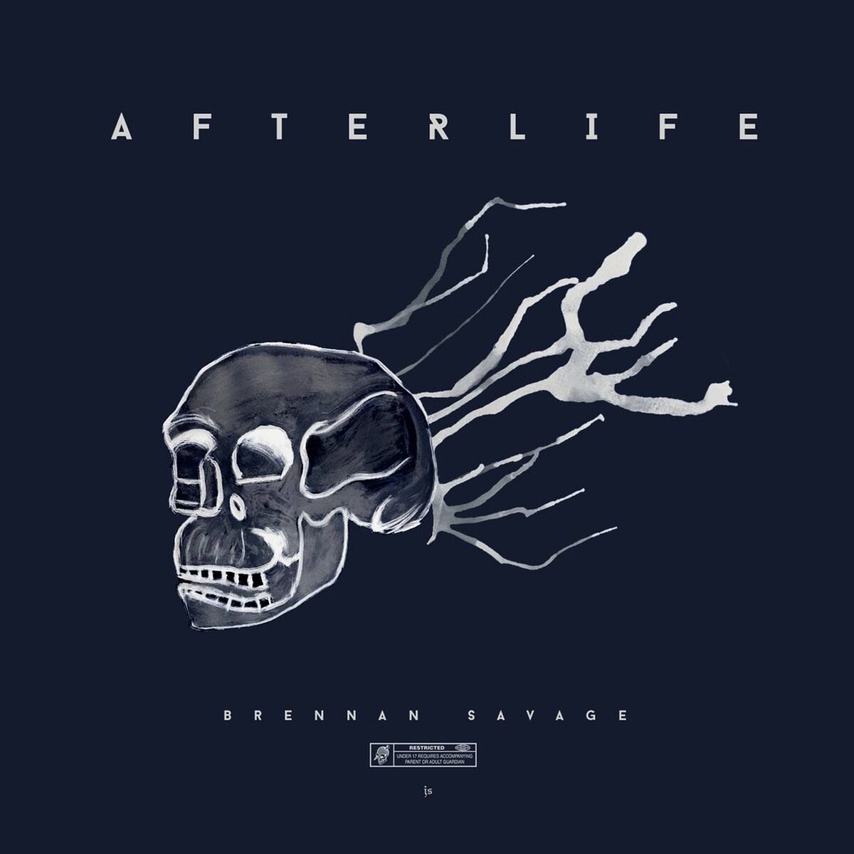 Album cover of Afterlife