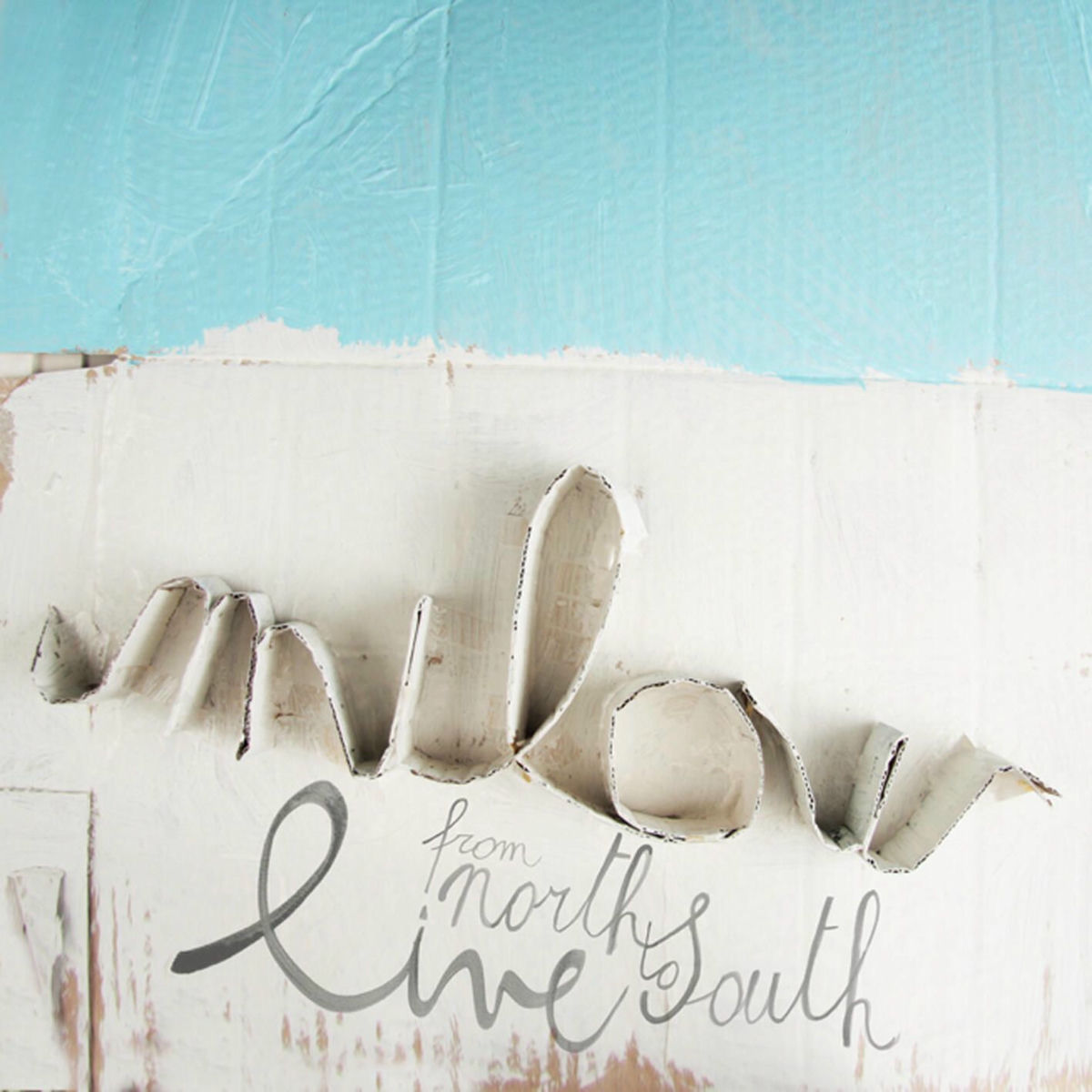 Album cover of From North to South (Live)