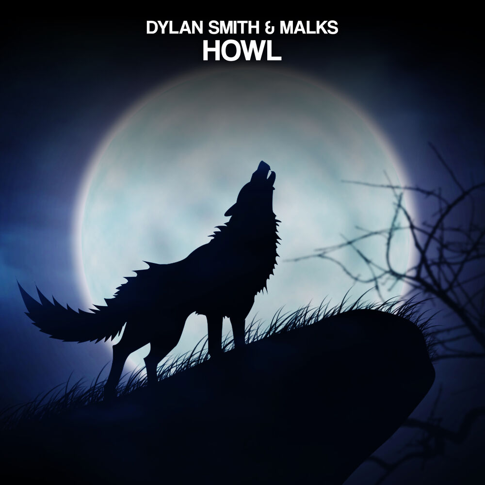 Picture of Howl