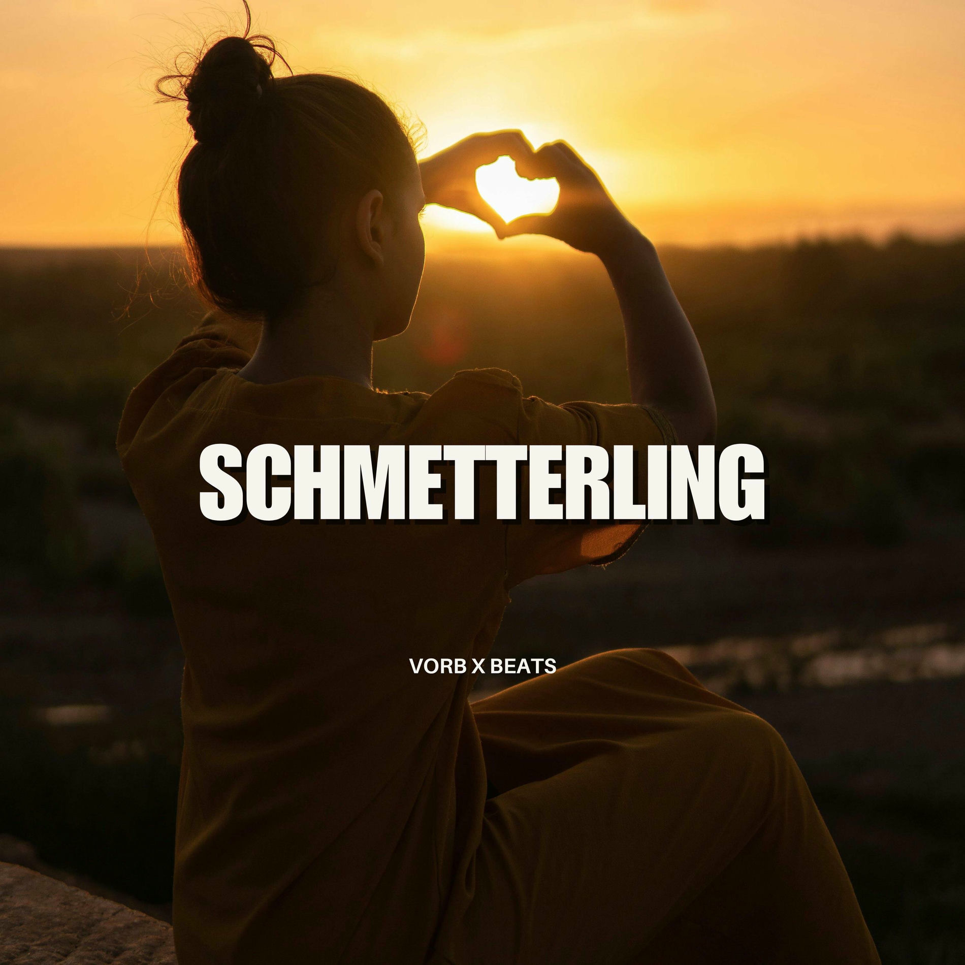 Album cover of Schmetterling