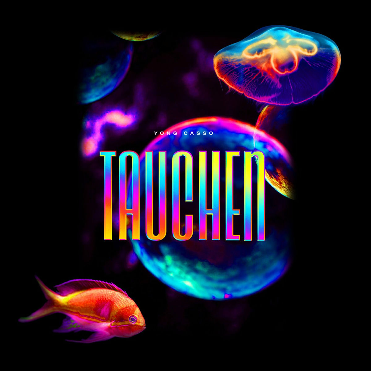 Album cover of Tauchen