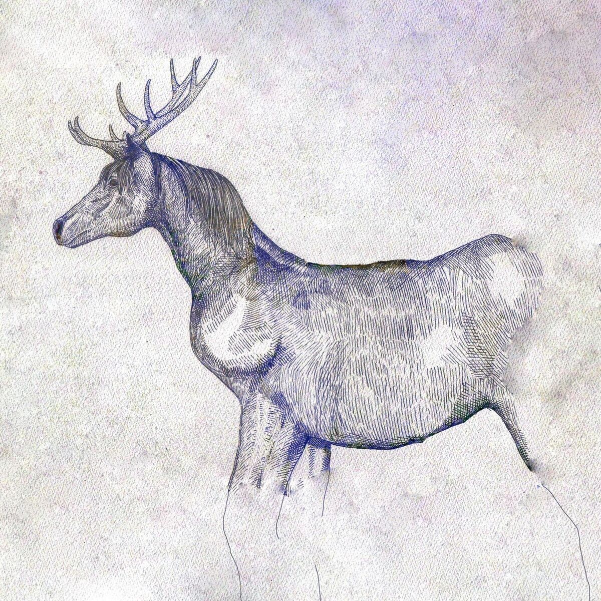Album cover of Deshomasho