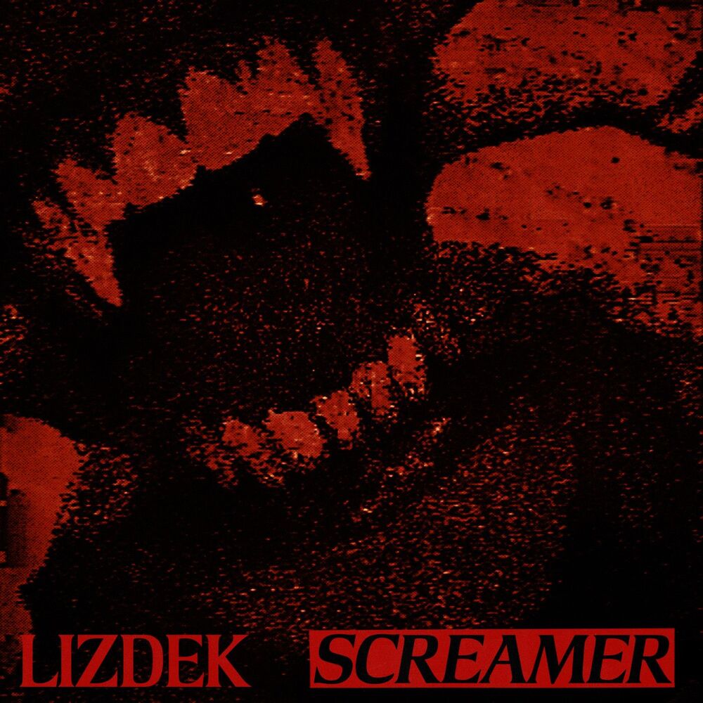 Picture of SCREAMER