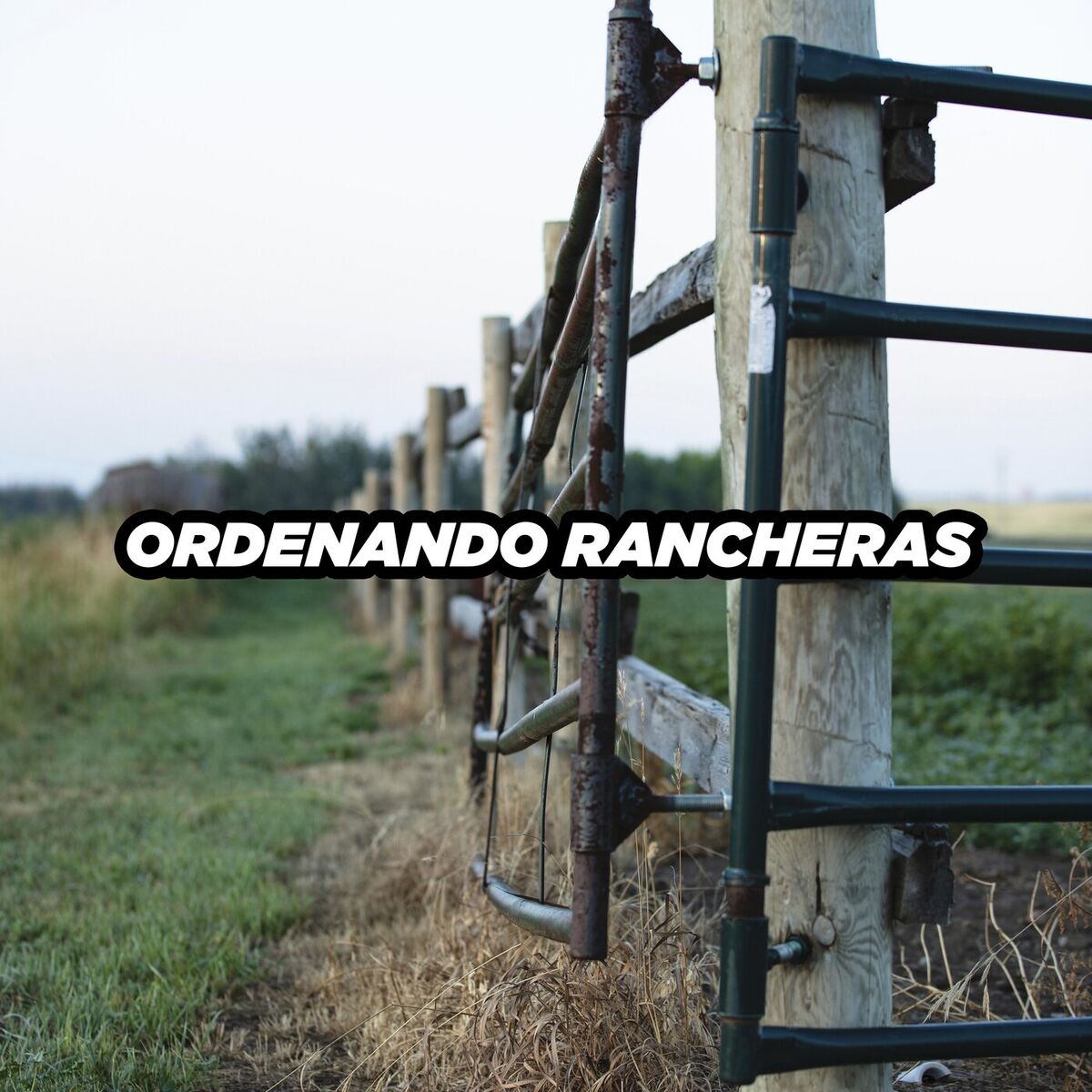 Album cover of Ordenando Rancheras
