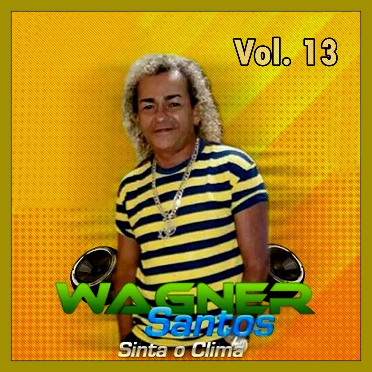 Album cover of SINTA O CLIMA - VOL. 13