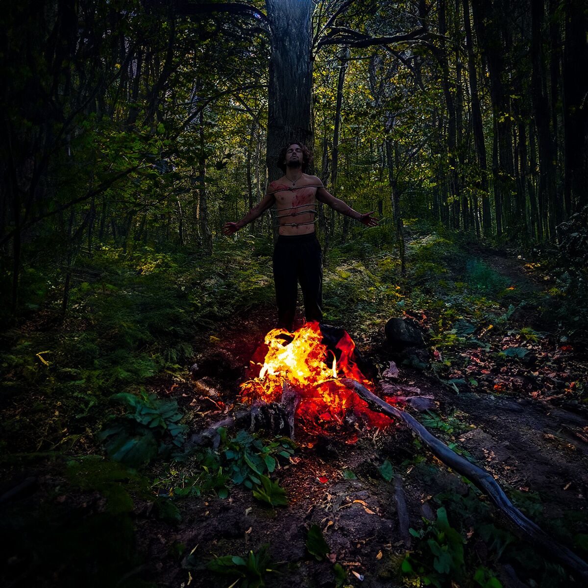 Album cover of Hybride