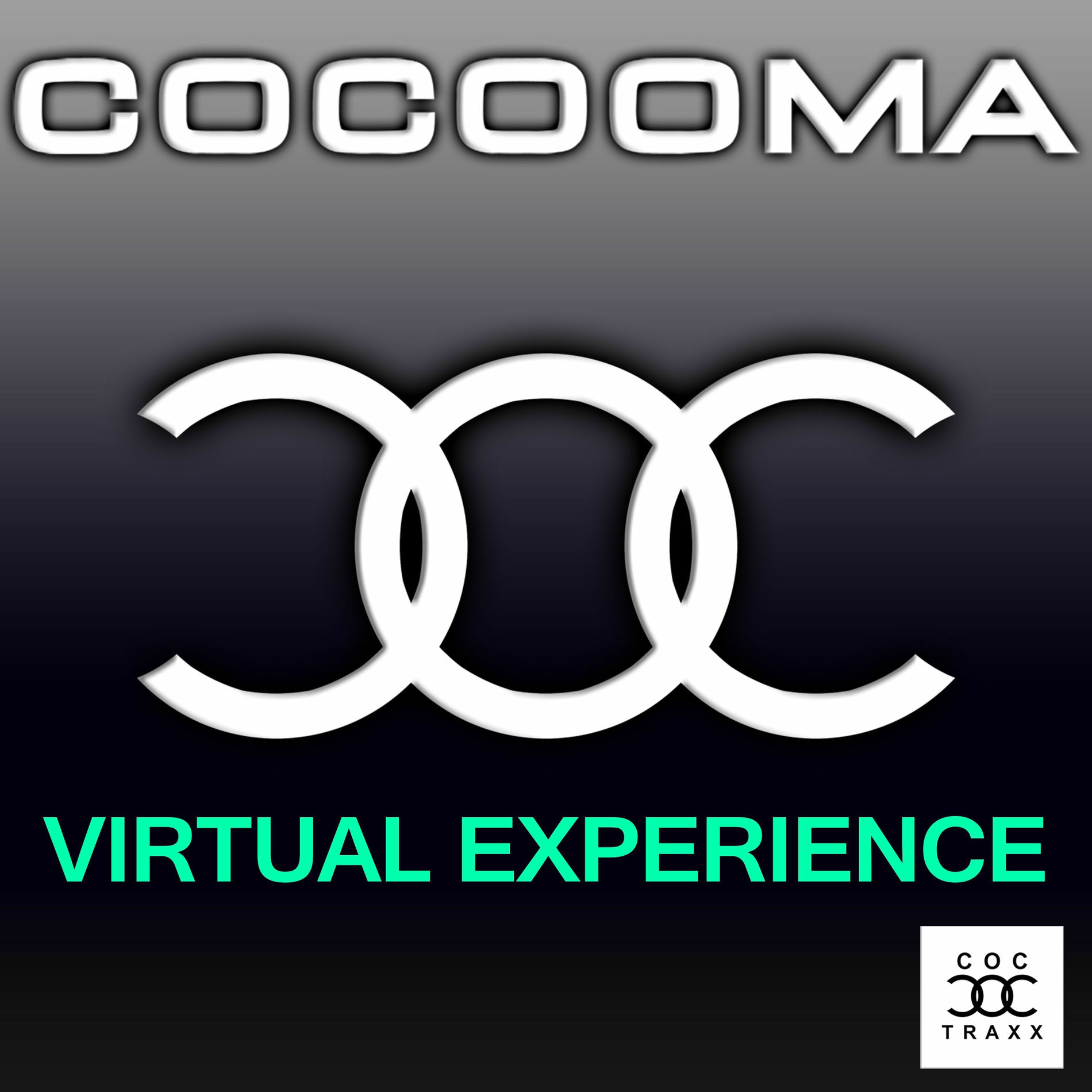 Album cover of Virtual Experience